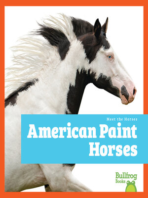 cover image of American Paint Horses